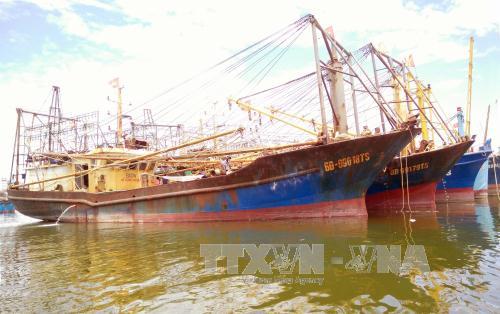Thẩm định các tàu vỏ thép đóng mới theo Nghị định 67 bị hư hỏng 